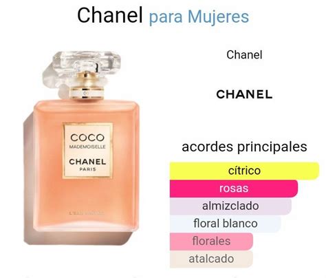 côco mademoiselle chanel familia olfativa|coco de Chanel perfume.